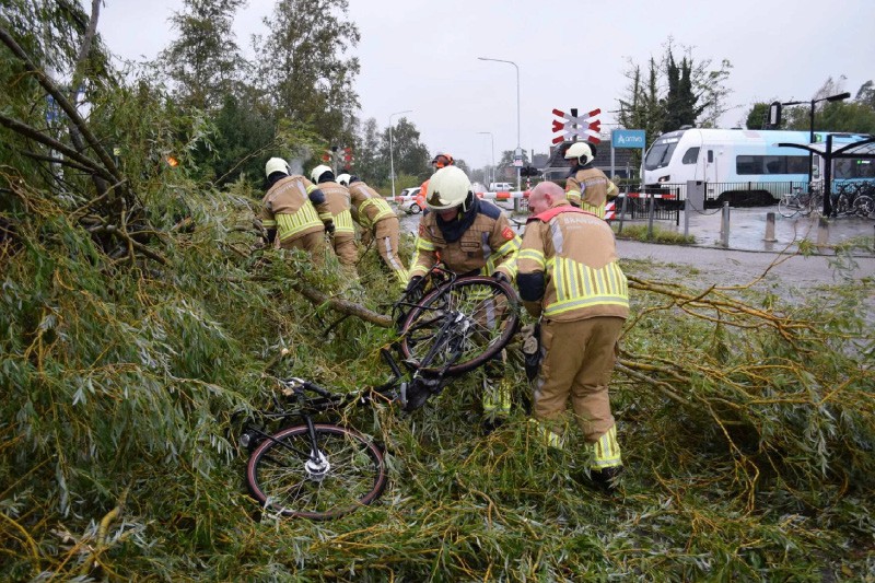 Als een boom niet de juiste aandacht krijgt… In de sector Openbaar bestuur en rechtspraak spelen bomen soms een onverwachte rol... Sectoren