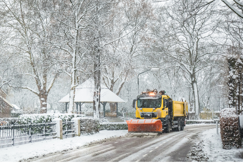 Klimaatpraat #1 - vorstschade vs. zonnebrand Sneeuw, ijs en wind domineerden het weer de afgelopen week. Wat doet dit met bomen? Blog