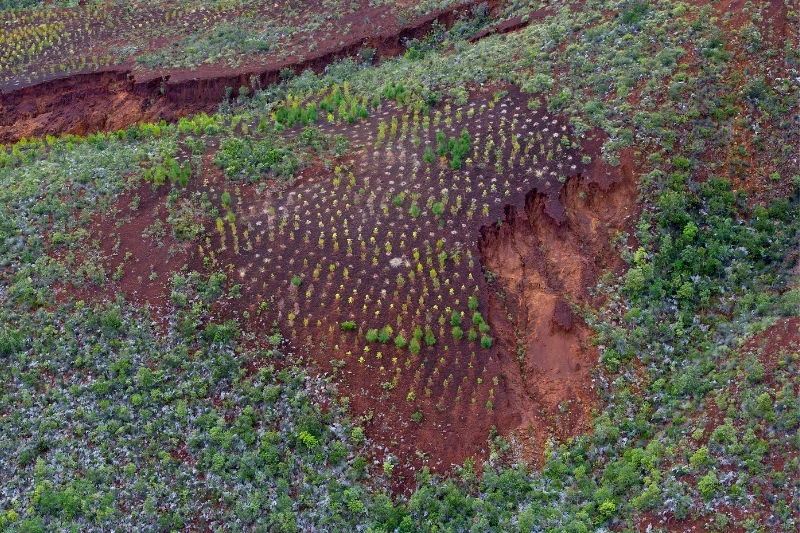 CO2-uitstoot compenseren vliegtuig klimaat
