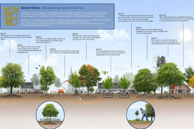 Bomenplan voor Gemert-Bakel Een sterke toekomstbestendige visie en duidelijke doelen voor boombeleid in gemeente Gemert-Bakel, Noord-Brabant. Sectoren