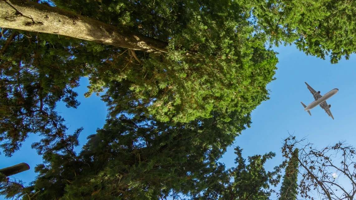 vliegtuig uitstoot boven bomen