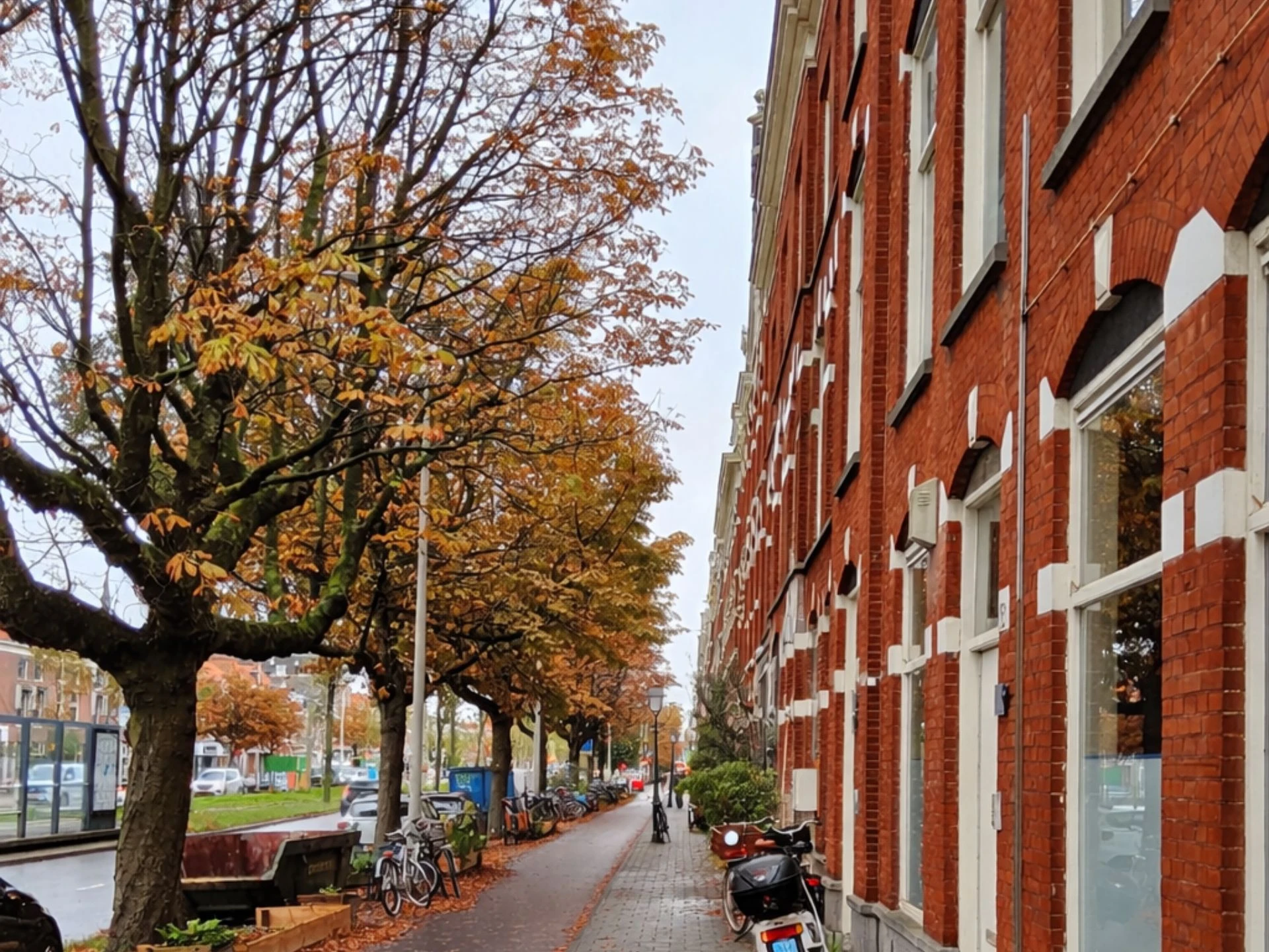Stadsbomen langs de Emmakade in Den Haag in de herfst na regen met natte stoep en bakstenen huizen