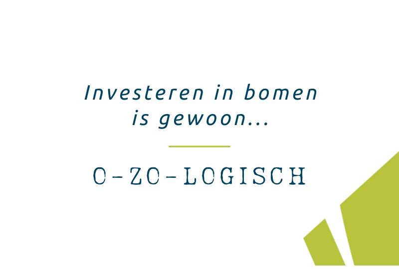 bomen, logica, vanzelfsprekend