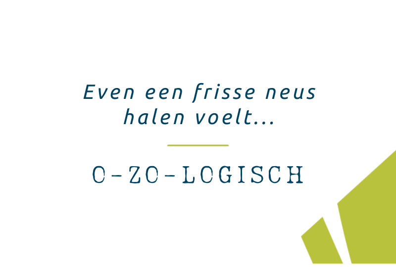 Bewegen in het groen en rond bomen is goed voor ons welzijn