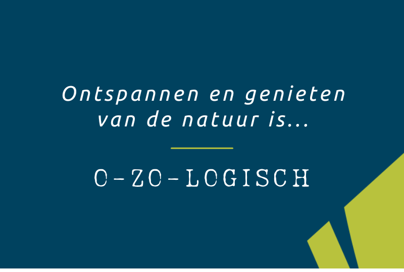 De rol van bomen in onze vakanties, van wandelen tot kamperen.