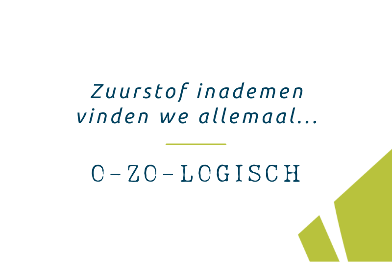 bomen zorgen voor onze zuurstof