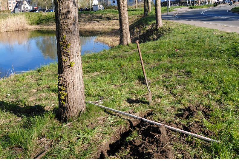 Bomen Effect Analyse voor herinrichting van de Faunalaan in Uithoorn