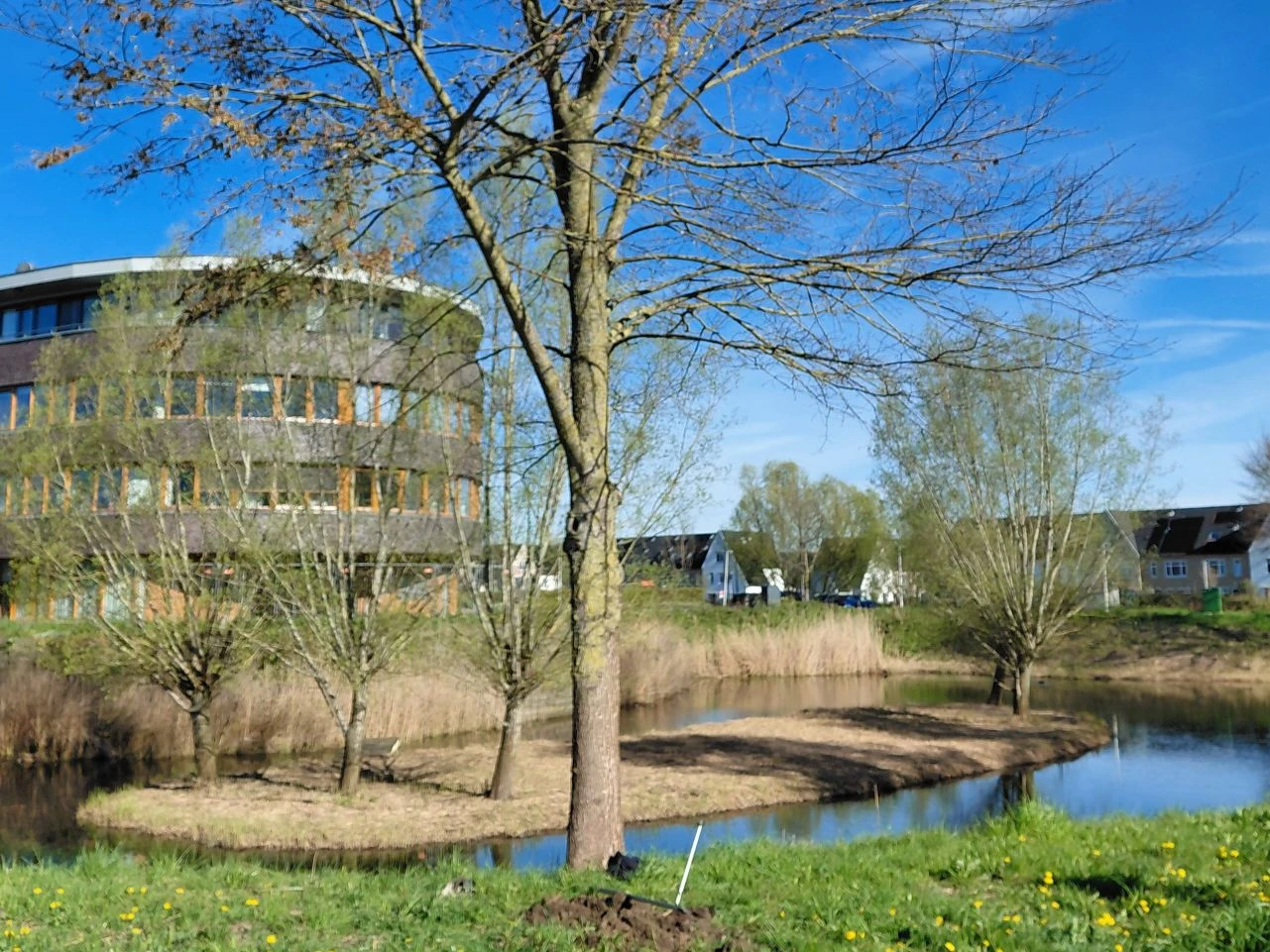 Proefsleuf 2 Uithoorn