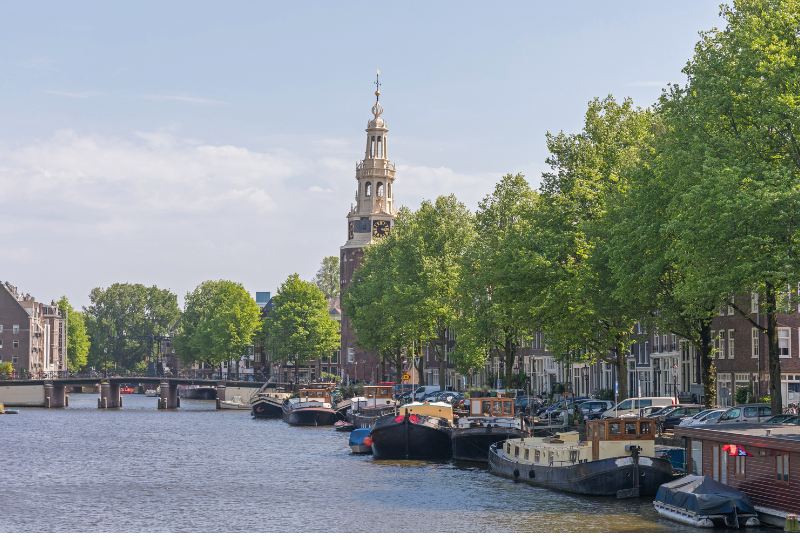 Tree-o-logic als officieel EuroTrees-partner voor het uitvoeren van EuroTrees-berekeningen.