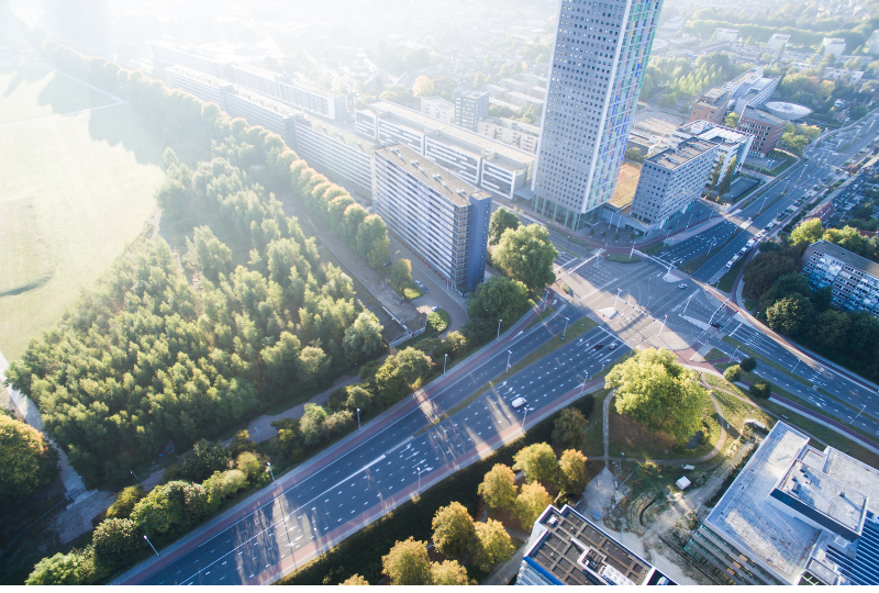 Kap- en herplantonderzoek voor duurzaam boombeheer in de gemeente Tilburg