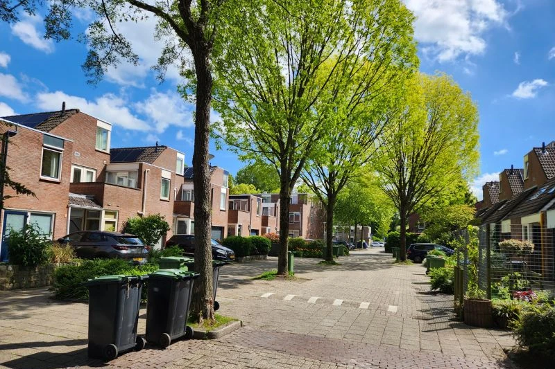 Wortelopdruk in trottoir door boomwortel in wijk Beijum, Groningen