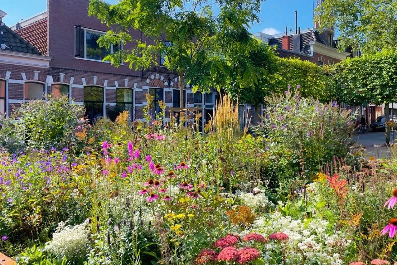 Bloemrijke berm met bomen en struiken in de openbare ruimte