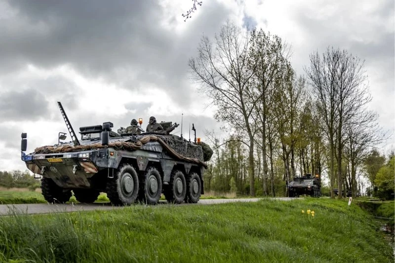 Dichte houtwal met bomen bij Harskamp, locatie van de boomveiligheidscontrole
